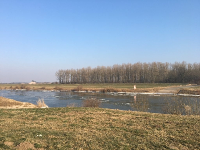 Eisschollen Weser